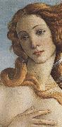 Sandro Botticelli The Birth of Venus (mk36) oil on canvas